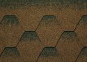 brown_tr